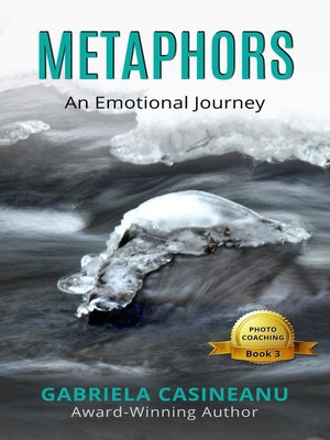cover image of Metaphors